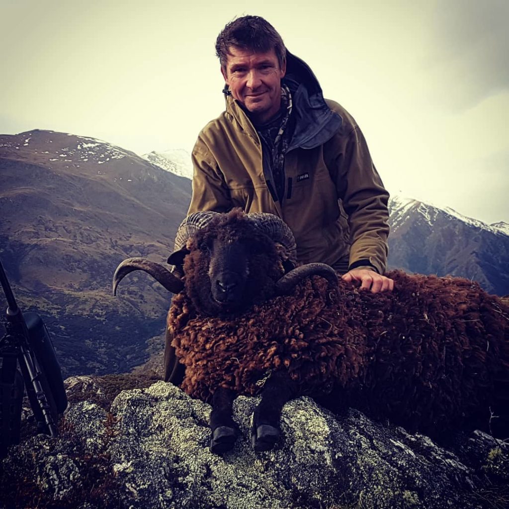 NZ arapawa ram hunting guide New Zealand South Island sheep goat hunting