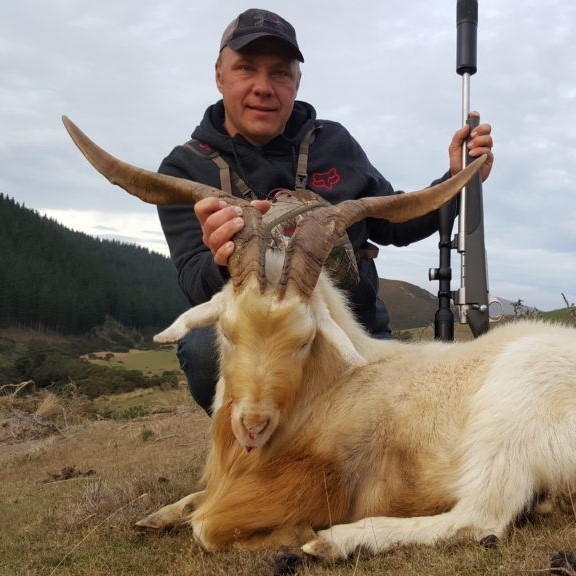 goat hunting new zealand red stag