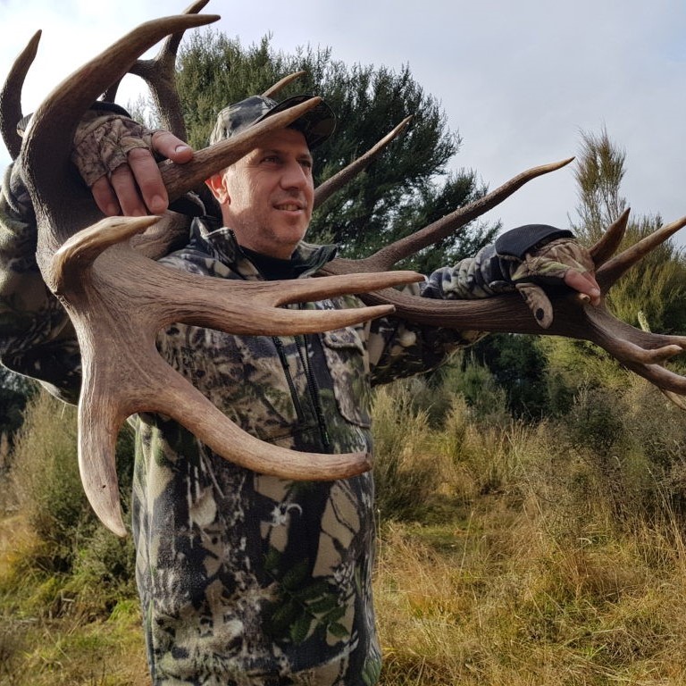 red stag fallow buck hunt south island new zealand
