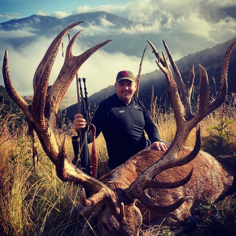 red stag hunting in new zealand