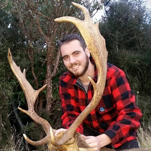 fallow deer hunting new zealand Dunedin