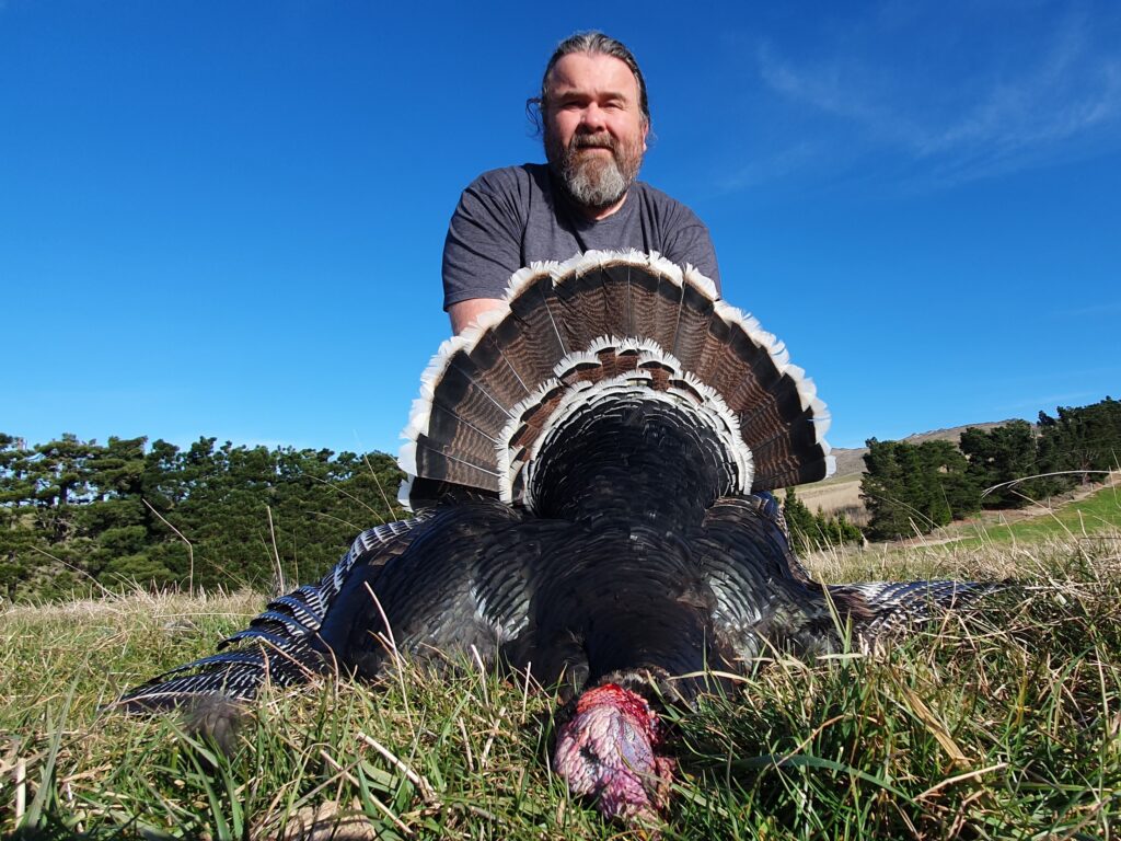 new zealand turkey hunting guides