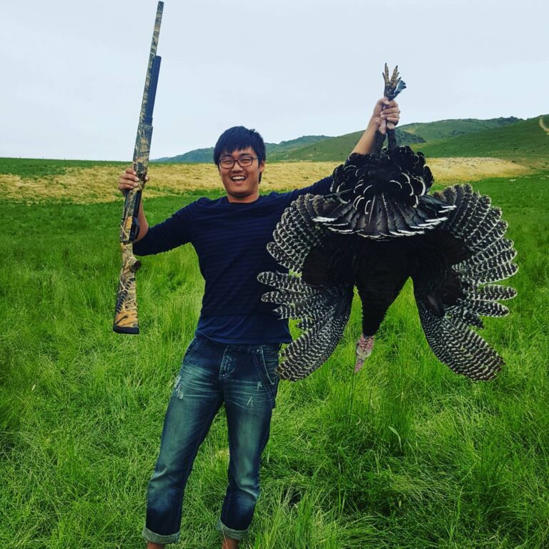 merriam's turkey new zealand hunt