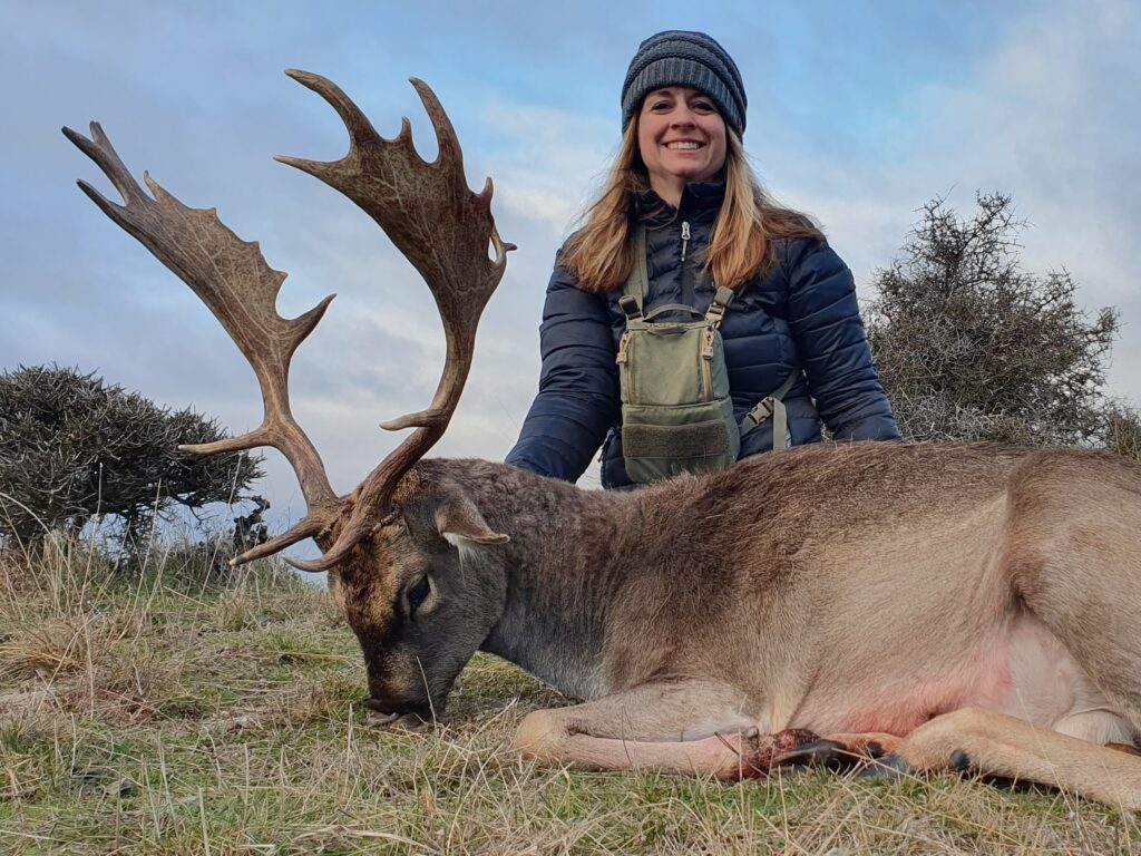 nz fallow deer hunt new zealand fallow buck