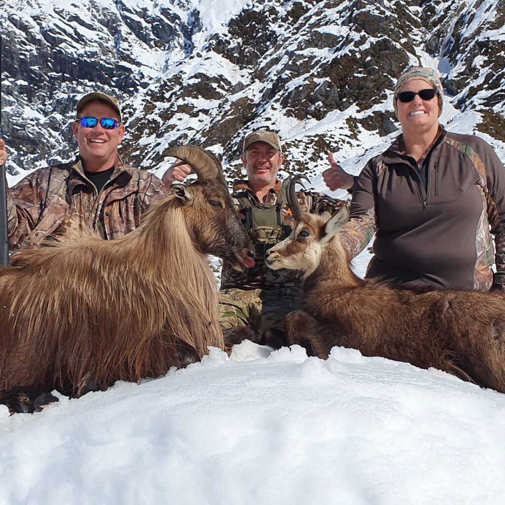 Queenstown Wanaka South Island tahr guided hunt
