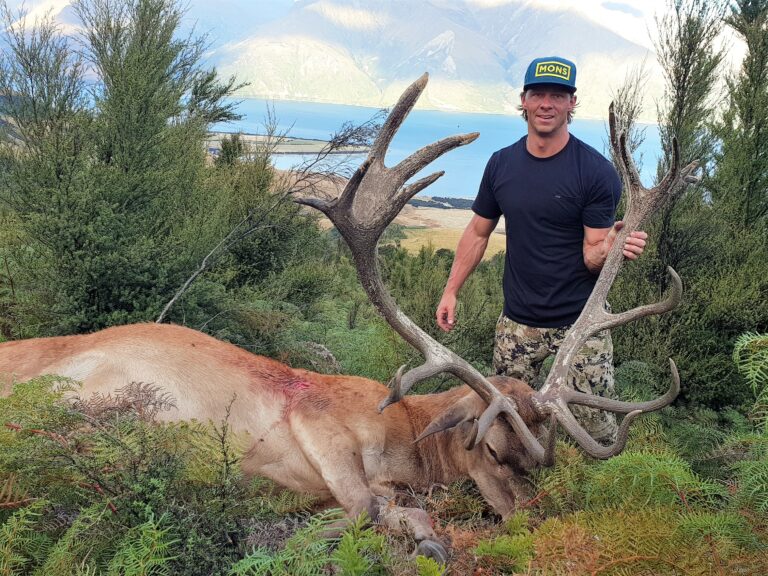South Island New Zealand Red Stag hunting