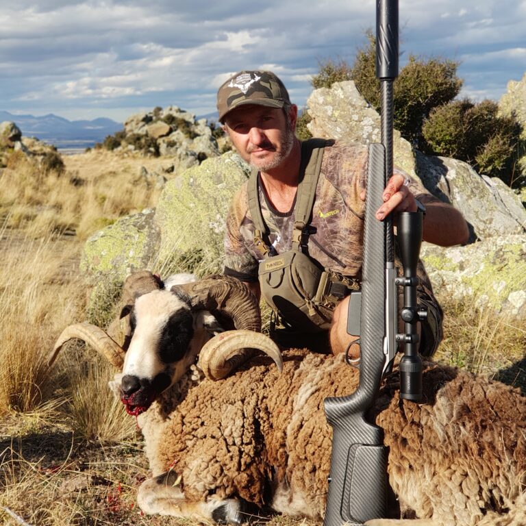 arapawa ram hunting elk hunt south island new zealand