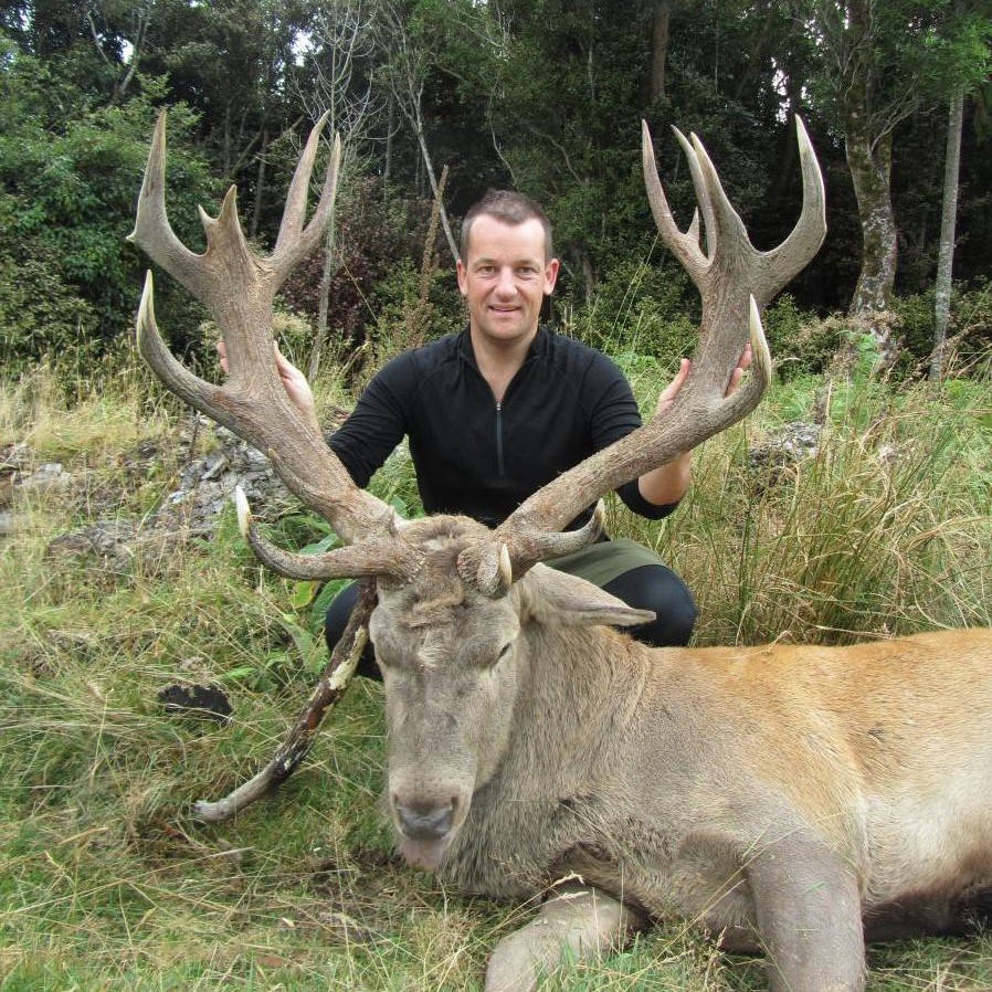 Queenstown New Zealand Red Stag hunting