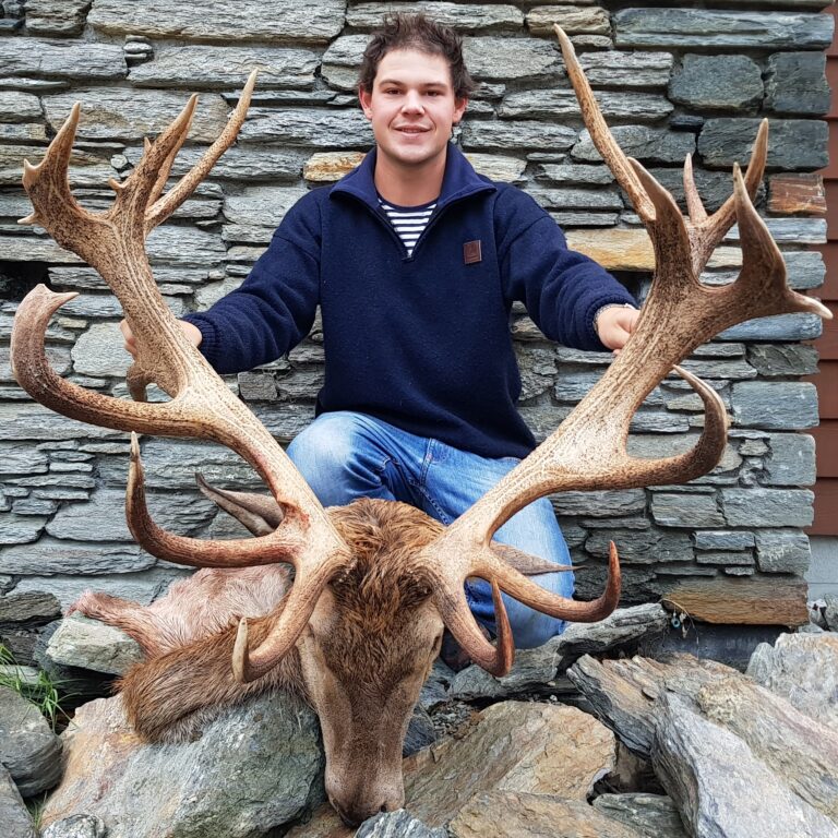 south island new zealand red stags hunt
