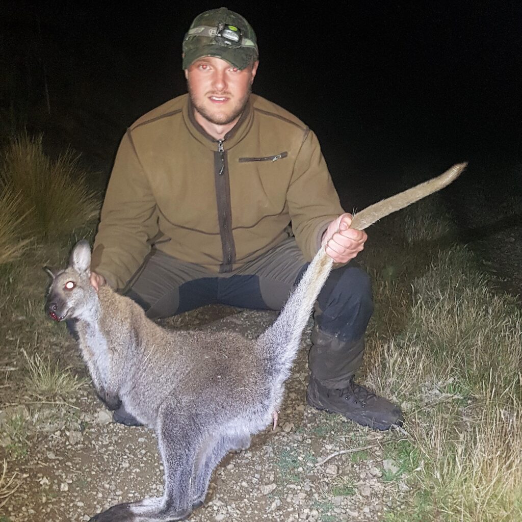 south island wallaby hunting guides otago Queenstown